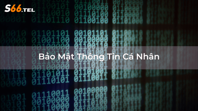 Chính sách bảo mật thông tin khách tại s66